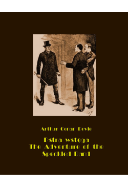 Pstra wstęga The Adventure...