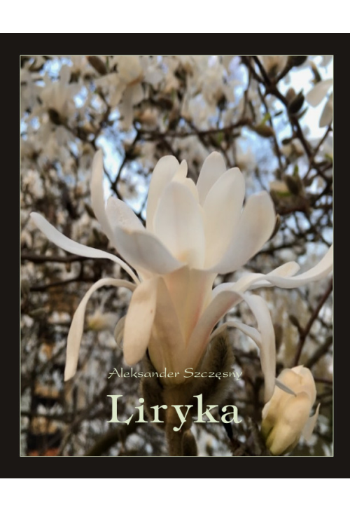 Liryka