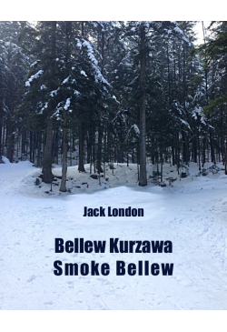 Bellew Kurzawa. Smoke Bellew