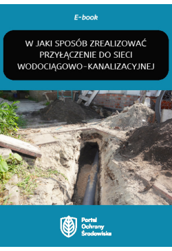 W jaki sposób zrealizować...
