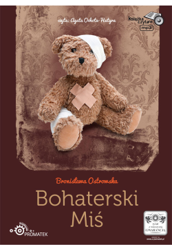 Bohaterski miś
