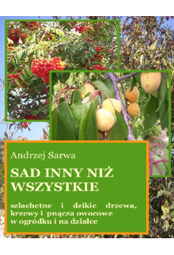 Sad inny niż wszystkie