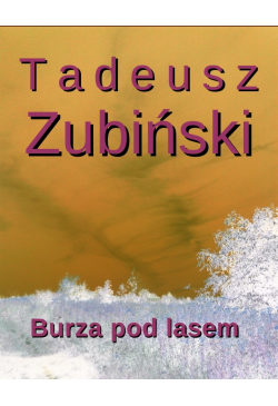 Burza pod lasem
