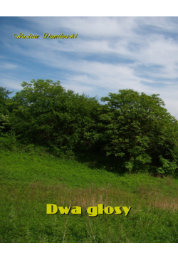 Dwa głosy