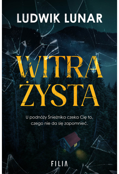 Witrażysta