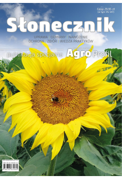 Słonecznik - uprawa,...