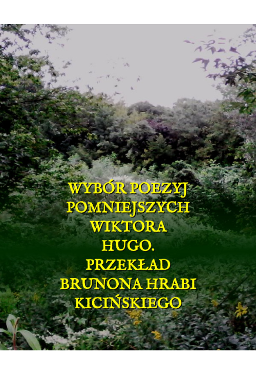 Wybór poezyj pomniejszych Wiktora Hugo.