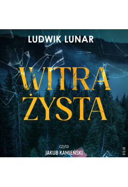 Witrażysta