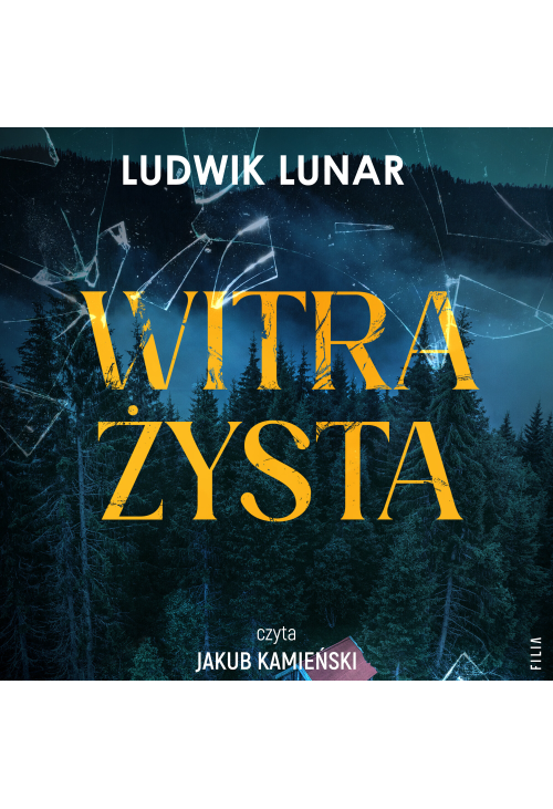 Witrażysta