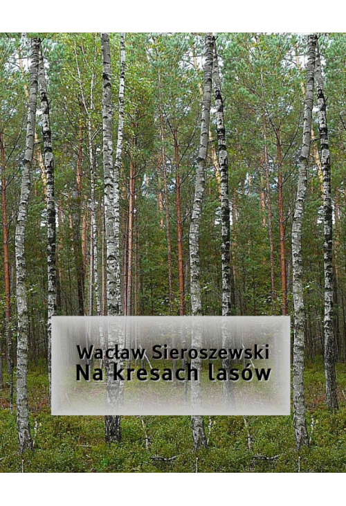 Na kresach lasów