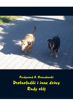 Drobnoludki i inne dziwy....