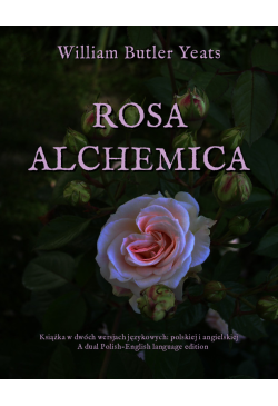 Rosa alchemica