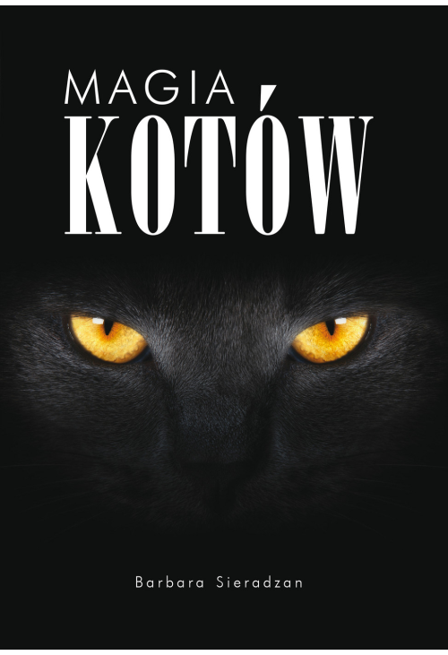 Magia kotów