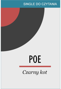 Czarny kot