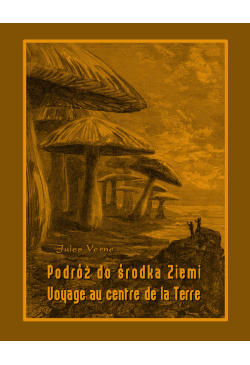 Podróż do środka Ziemi....