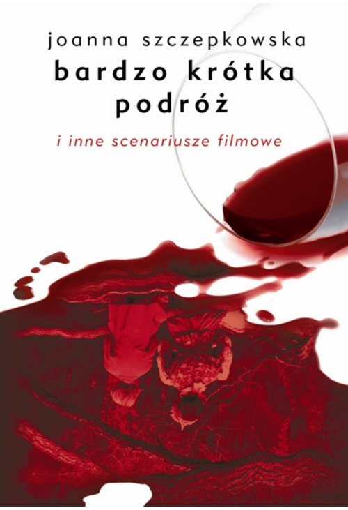 Bardzo krótka podróż i inne scenariusze filmowe
