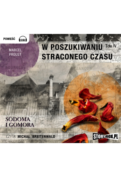 W poszukiwaniu straconego...