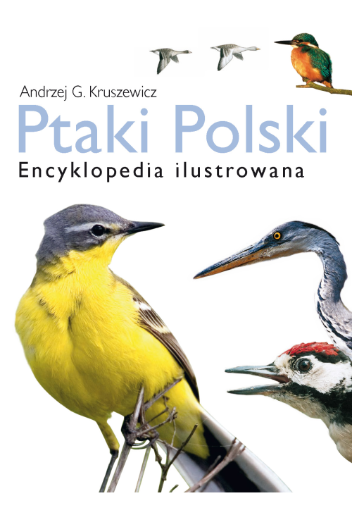 Ptaki Polski. Encyklopedia ilustrowana