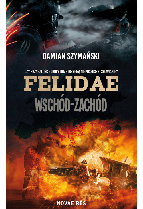 Felidae. Wschód-Zachód