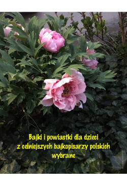 Bajki i powiastki dla...