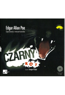 Czarny kot