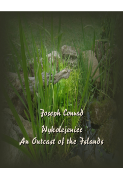 Wykolejeniec An Outcast of...