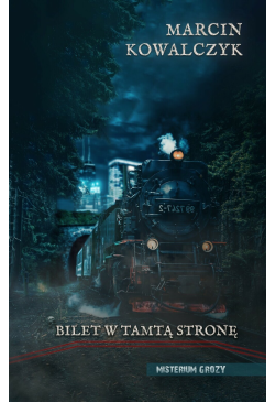 Bilet w tamtą stronę