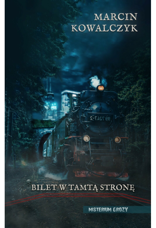 Bilet w tamtą stronę