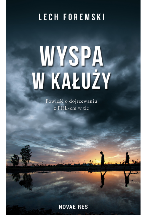 Wyspa w kałuży