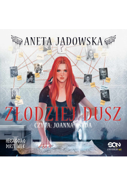Złodziej dusz (Dora Wilk 1)