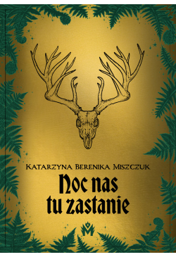 Noc nas tu zastanie