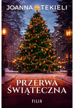 Przerwa świąteczna