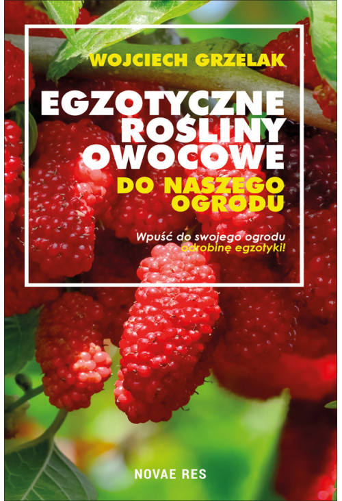 Egzotyczne rośliny owocowe do naszego ogrodu