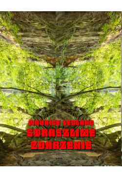 Straszliwe zdarzenie. Powieść