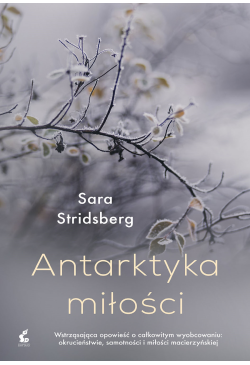 Antarktyka miłości