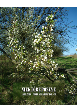 Niektóre poezye Andrzeja i...