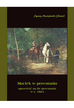 Maciek w powstaniu