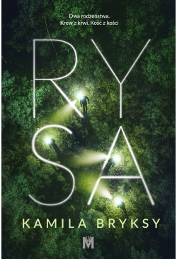 Rysa