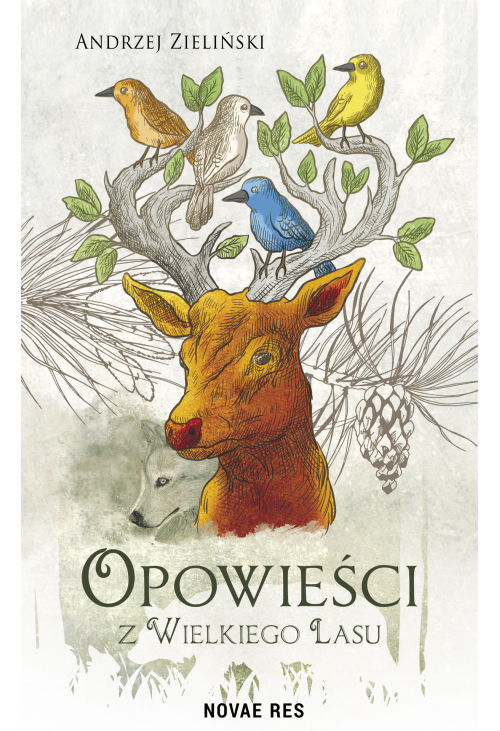 Opowieści z Wielkiego Lasu