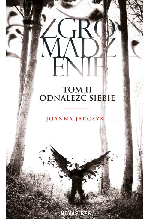 Zgromadzenie. Tom II Odnaleźć siebie