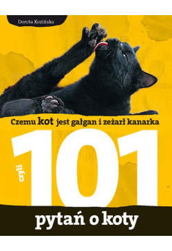 Czemu kot jest gałgan i...