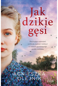 Jak dzikie gęsi