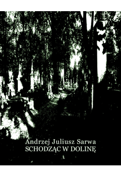 Schodząc w dolinę