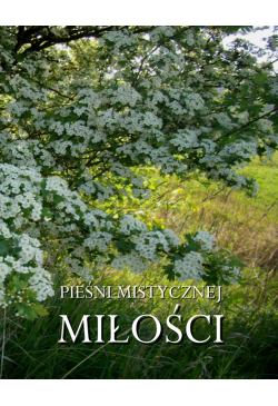 Pieśni mistycznej miłości