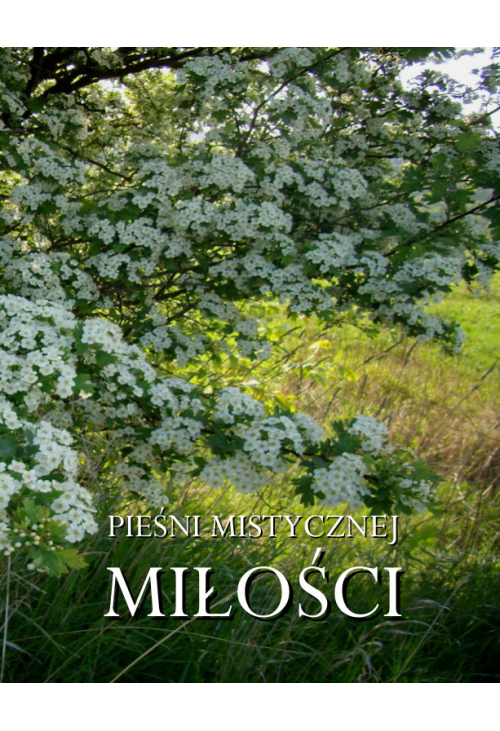 Pieśni mistycznej miłości