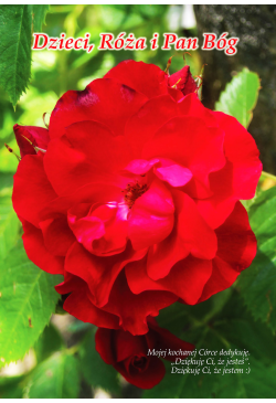 Dzieci, Róża i Pan Bóg