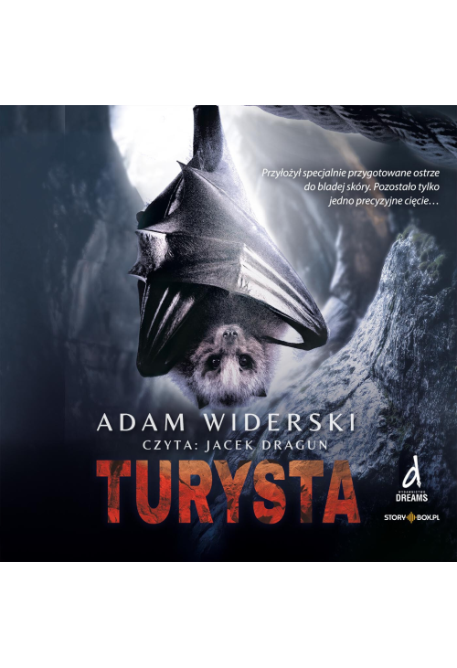 Turysta