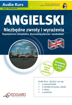 Angielski Niezbędne zwroty...