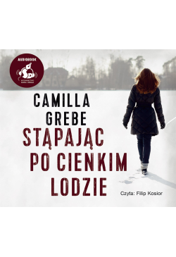 Stąpając po cienkim lodzie