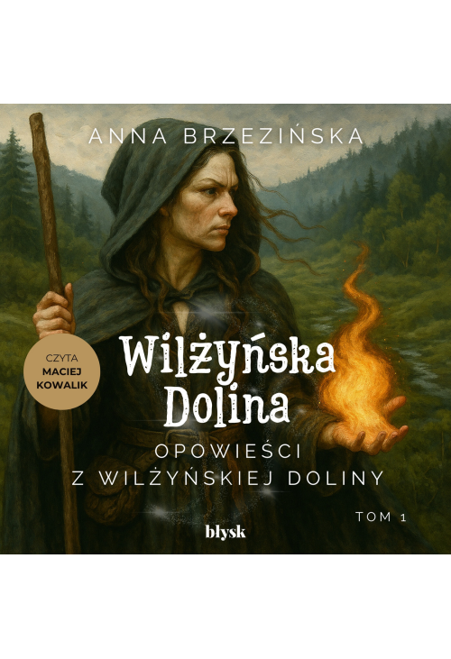 Opowieści z Wilżyńskiej Doliny